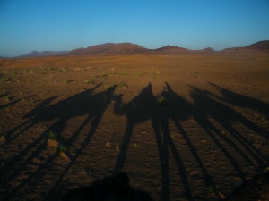 Sombra de três camelos na areia do deserto